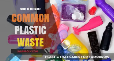 Plastic Waste: The Most Common Offenders