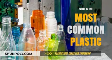 The Most Common Plastic and Its Impact