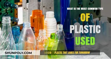 Unveiling the Ubiquitous Plastic: A Comprehensive Guide to the Most Common Types