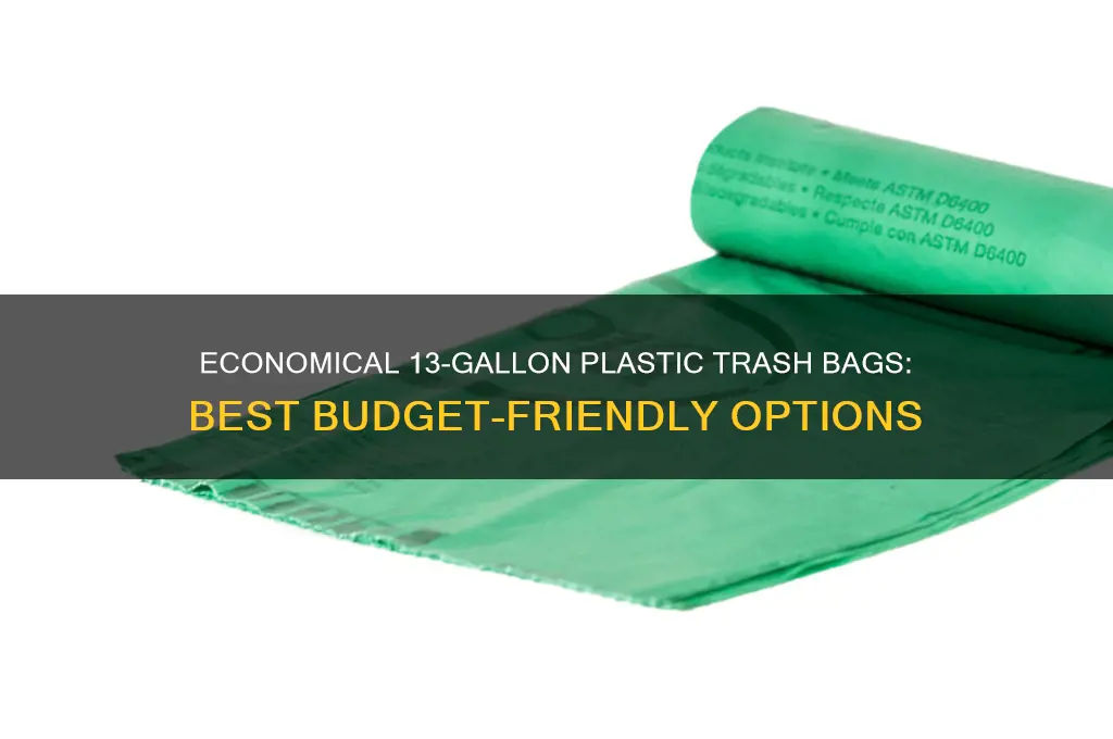 what is the most economical plastic 13gal trash bag