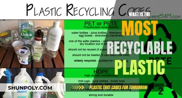 Best Plastics for Recycling: The Greenest Options