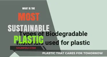 The Greenest Plastic: What's the Most Sustainable Option?