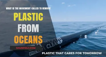 Ocean Cleanup Movement: Removing Plastic Waste from Our Seas