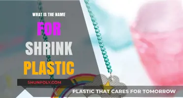 The Magical World of Shrink Plastic Art