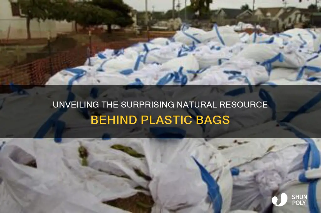 what is the natural resource of a plastic bag