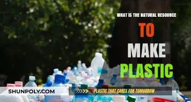 From Nature to Plastic: Exploring the Natural Resources Behind Its Creation