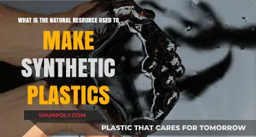 From Nature to Plastics: Understanding the Origins of Synthetic Materials