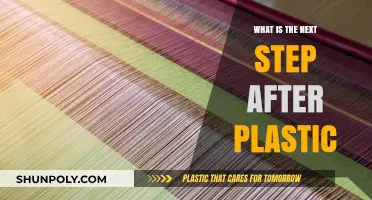 The Future Beyond Plastic: What's Next?