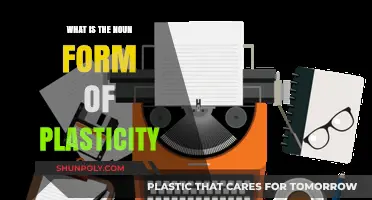 The Power of Plasticity: Exploring the Noun Form