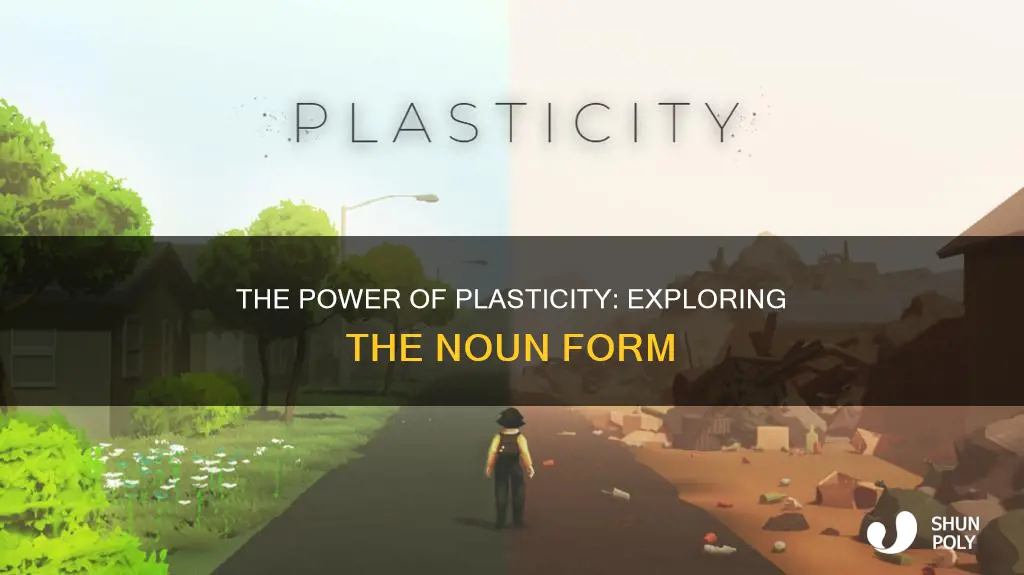 what is the noun form of plasticity