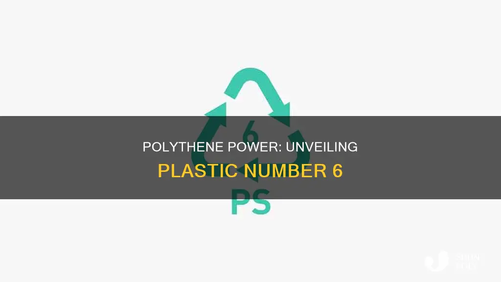 what is the number 6 plastic