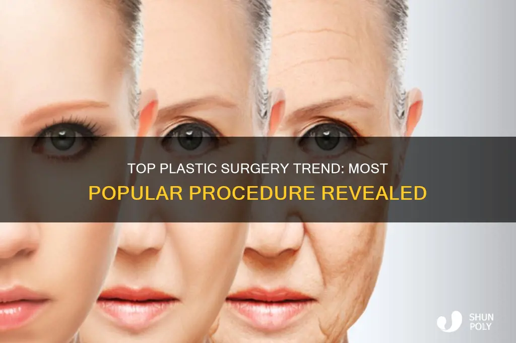 what is the number one plastic surgery procedure