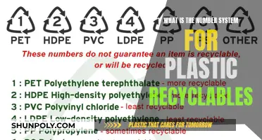 Understanding Plastic Recyclables: The Number System Explained