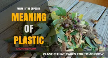 The Natural Alternative: Exploring Plastic's Opposite