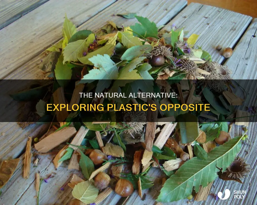 what is the opposite meaning of plastic