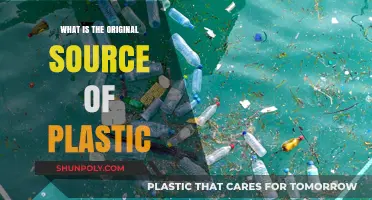 The Evolution of Plastic: From Nature to Nurture