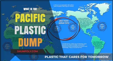 The Pacific Plastic Dump: A Marine Disaster
