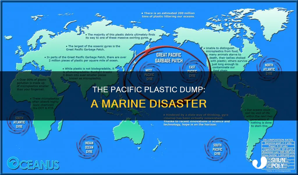 what is the pacific plastic dump