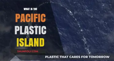 The Pacific's Plastic Island: A Man-made Catastrophe