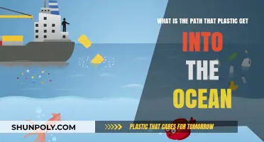 How Plastic Enters Oceans: Tracing the Journey from Land to Sea