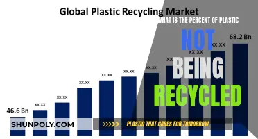 The Plastic Crisis: Understanding Our Recycling Failure