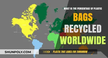 Global Plastic Bag Recycling Rates: How Much is Actually Recycled?