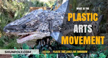 The Plastic Arts Movement: Exploring Creative Flexibility