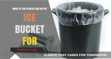 Why Ice Buckets Have a Plastic Bag Inside: Explained