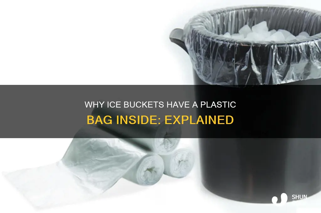what is the plastic bag in the ice bucket for