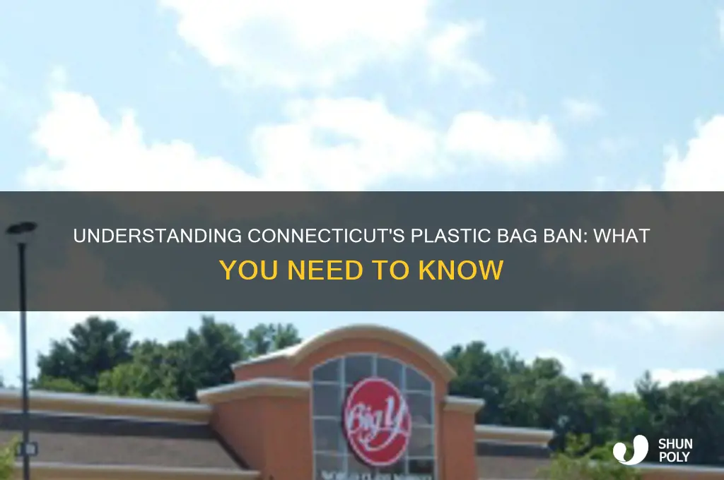 what is the plastic bag law in ct