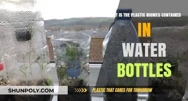 Plastic Biomes in Water Bottles: Unseen Ecosystems and Environmental Impact
