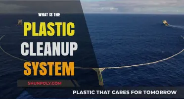 Plastic Cleanup: System and Solutions