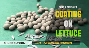 The Plastic Coating on Lettuce: Why and What For?