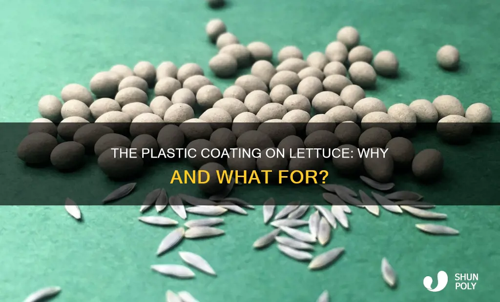 what is the plastic coating on lettuce