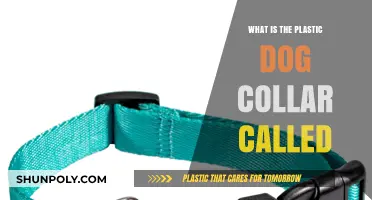 Plastic Dog Collars: What Are They?