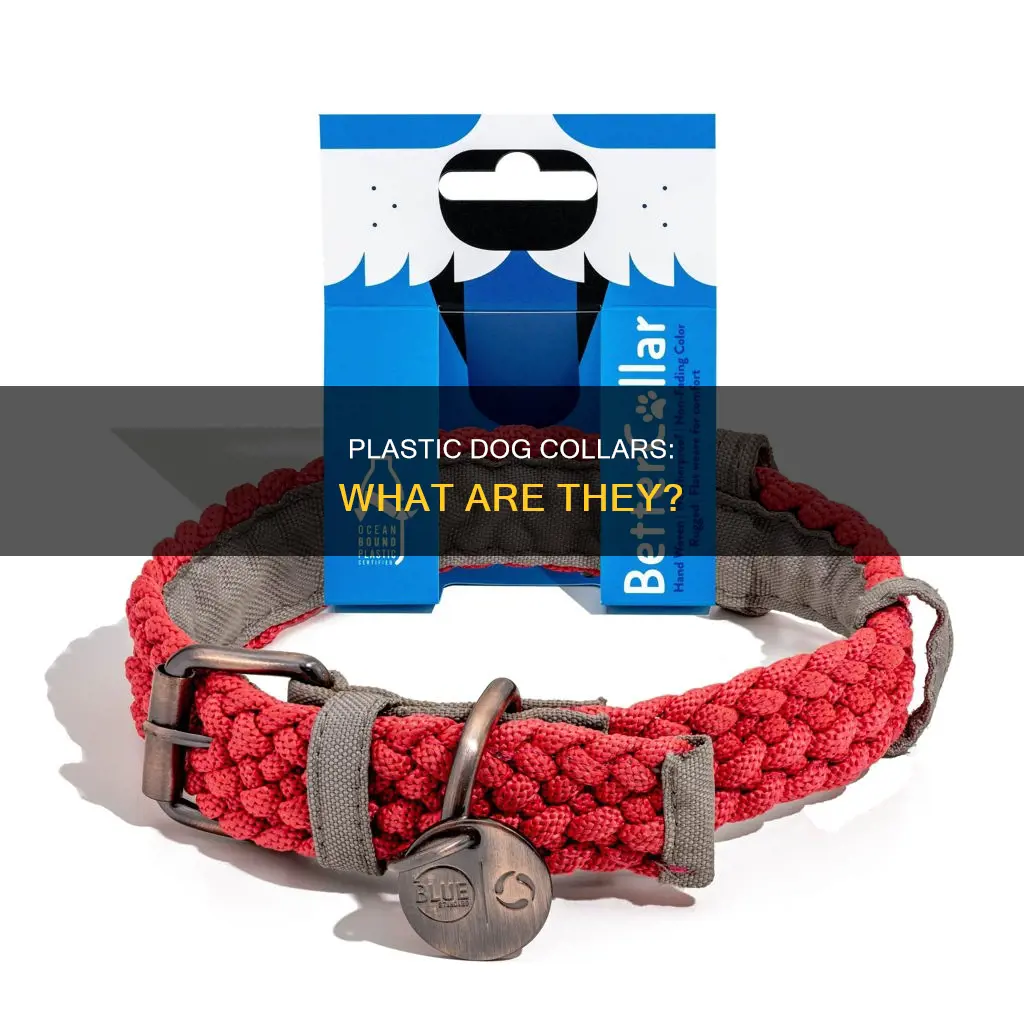 what is the plastic dog collar called