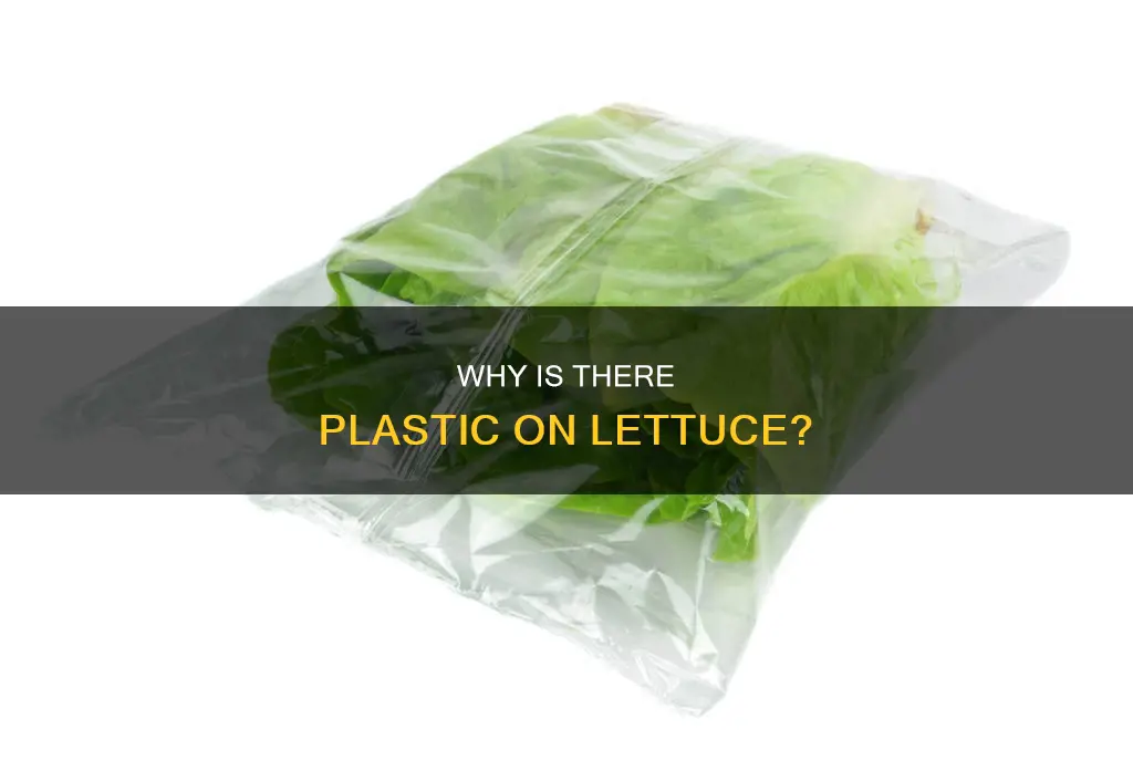 what is the plastic film on lettuce