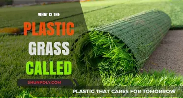 Artificial Turf: What's in a Name?