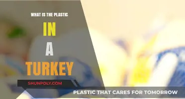 Turkey's Plastic Problem: What's in Your Meat?