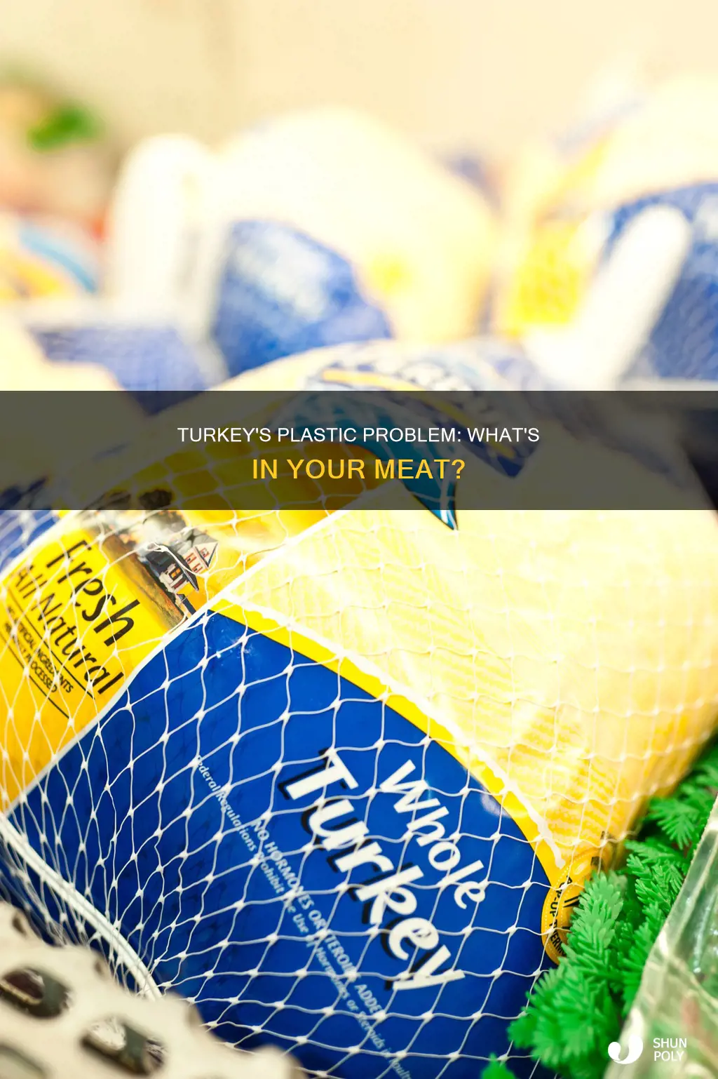 what is the plastic in a turkey