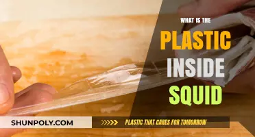 The Mystery of Squid Plastic: What's Inside?