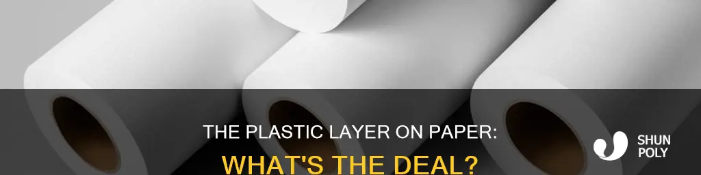what is the plastic layer on paper