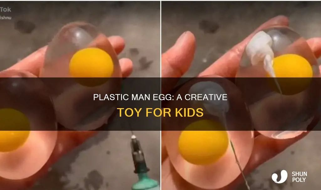 what is the plastic man egg