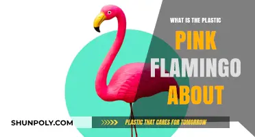 The Plastic Pink Flamingo: A Cultural Icon's History