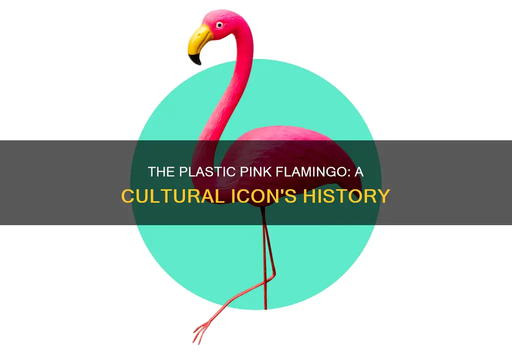 what is the plastic pink flamingo about
