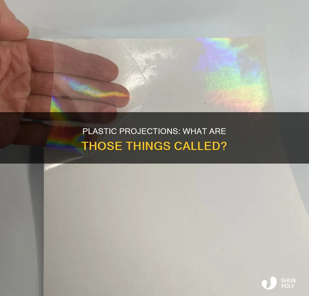 what is the plastic projection thing called