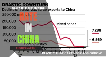 Recycling Reality: China's Plastic Recovery Rates Explored