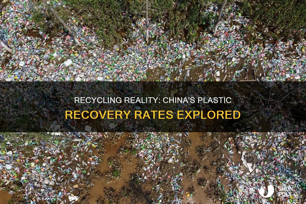 what is the plastic recycling rate in china