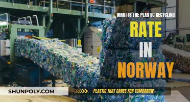 Recycling in Norway: Plastic's Fate and Future