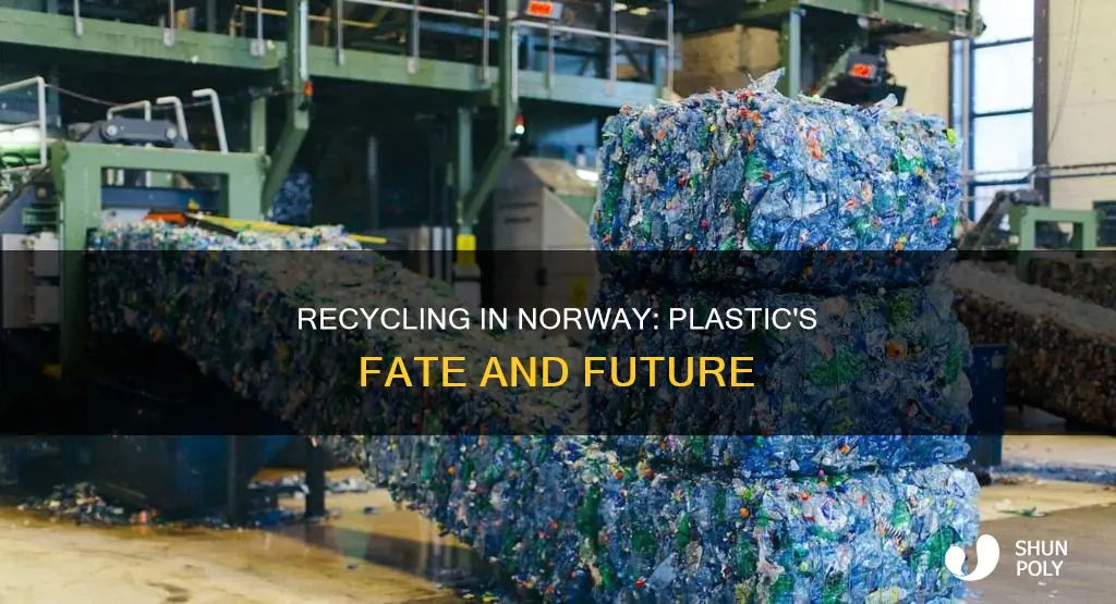 what is the plastic recycling rate in norway